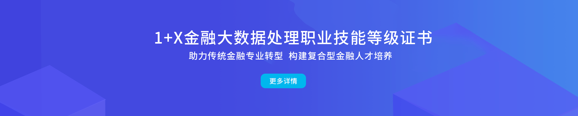 1+X职业技能等级证书